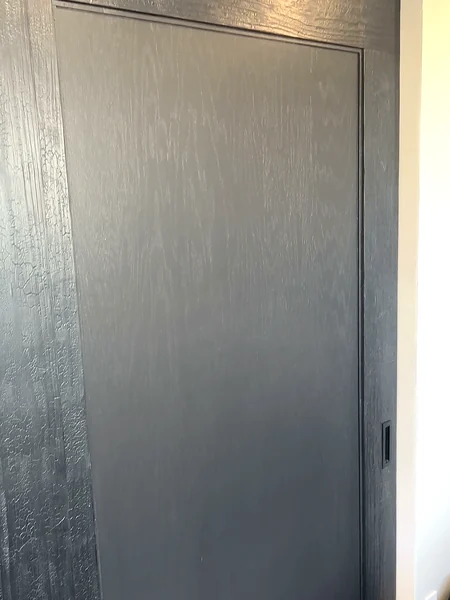 A full charred cedar bypass closet panel with its framed inset, charred header trim above and mirror edge alongside
